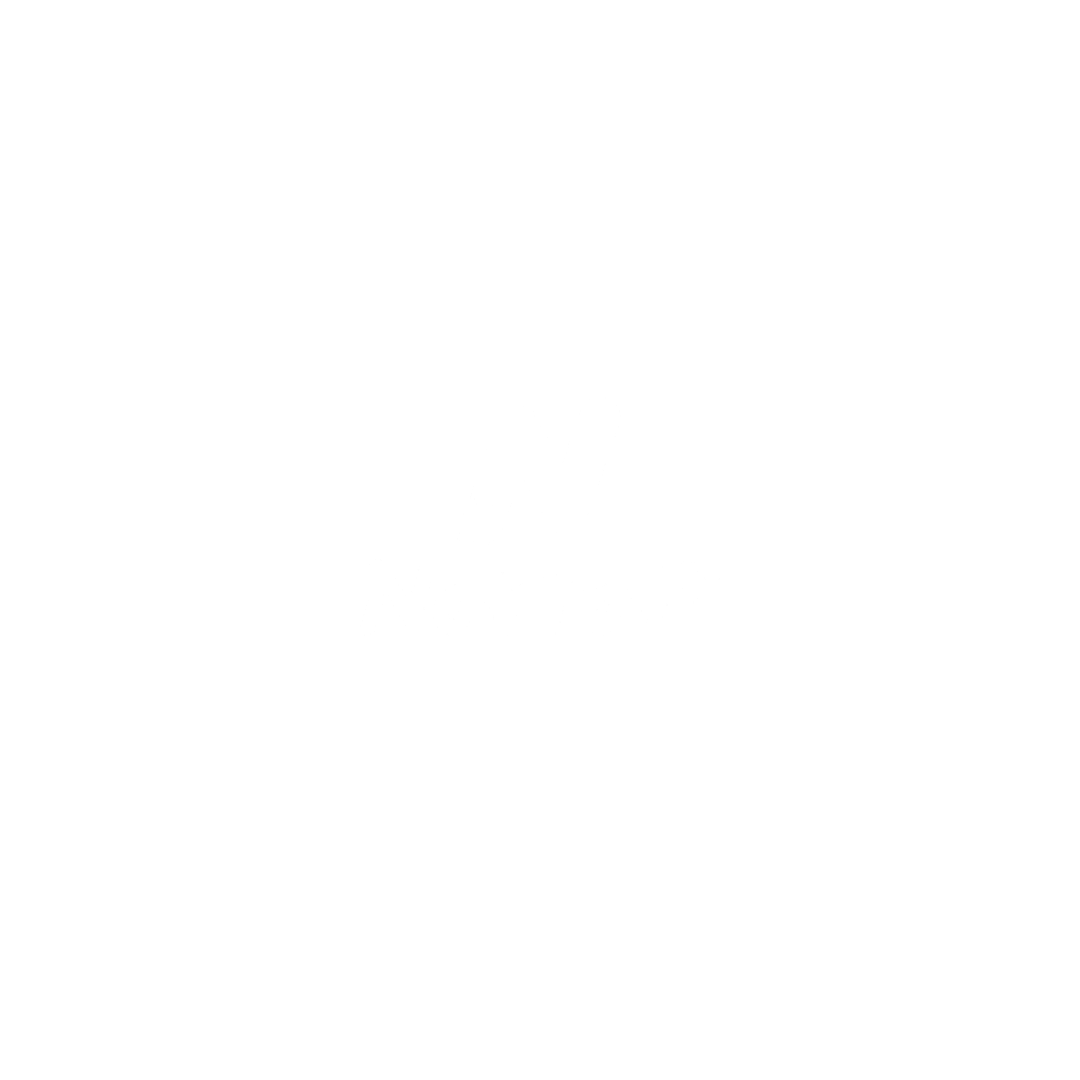 NarraFi Logo